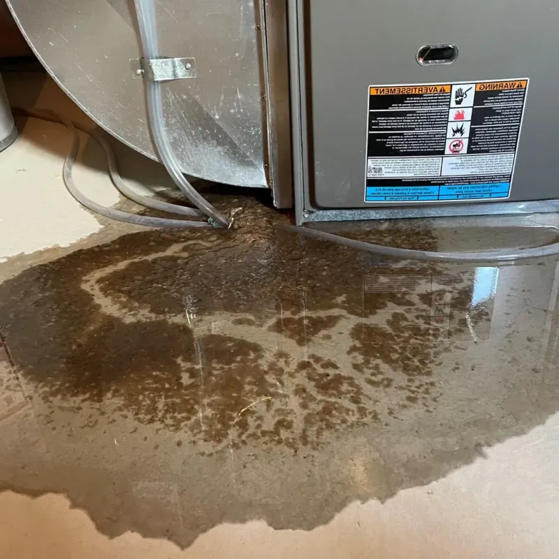 Pipe Burst and Leak Restoration in East Carbon City, UT