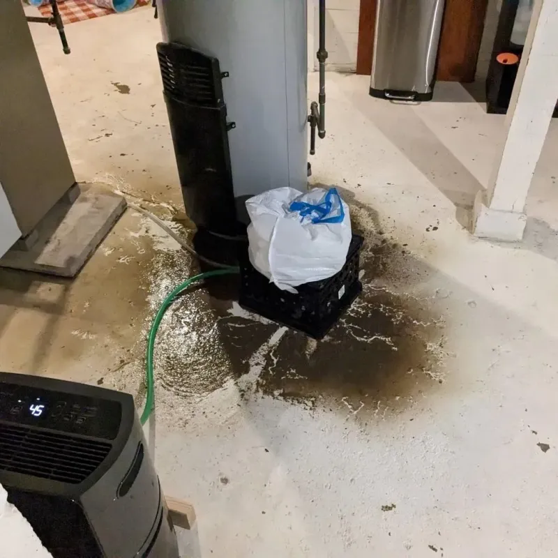 Sewage Backup Cleanup Service in East Carbon City, UT